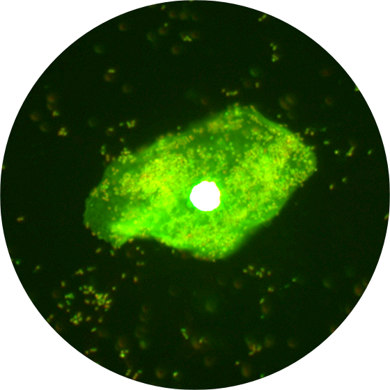 63eecb796194e.bmp 63eecb796194e.bmp